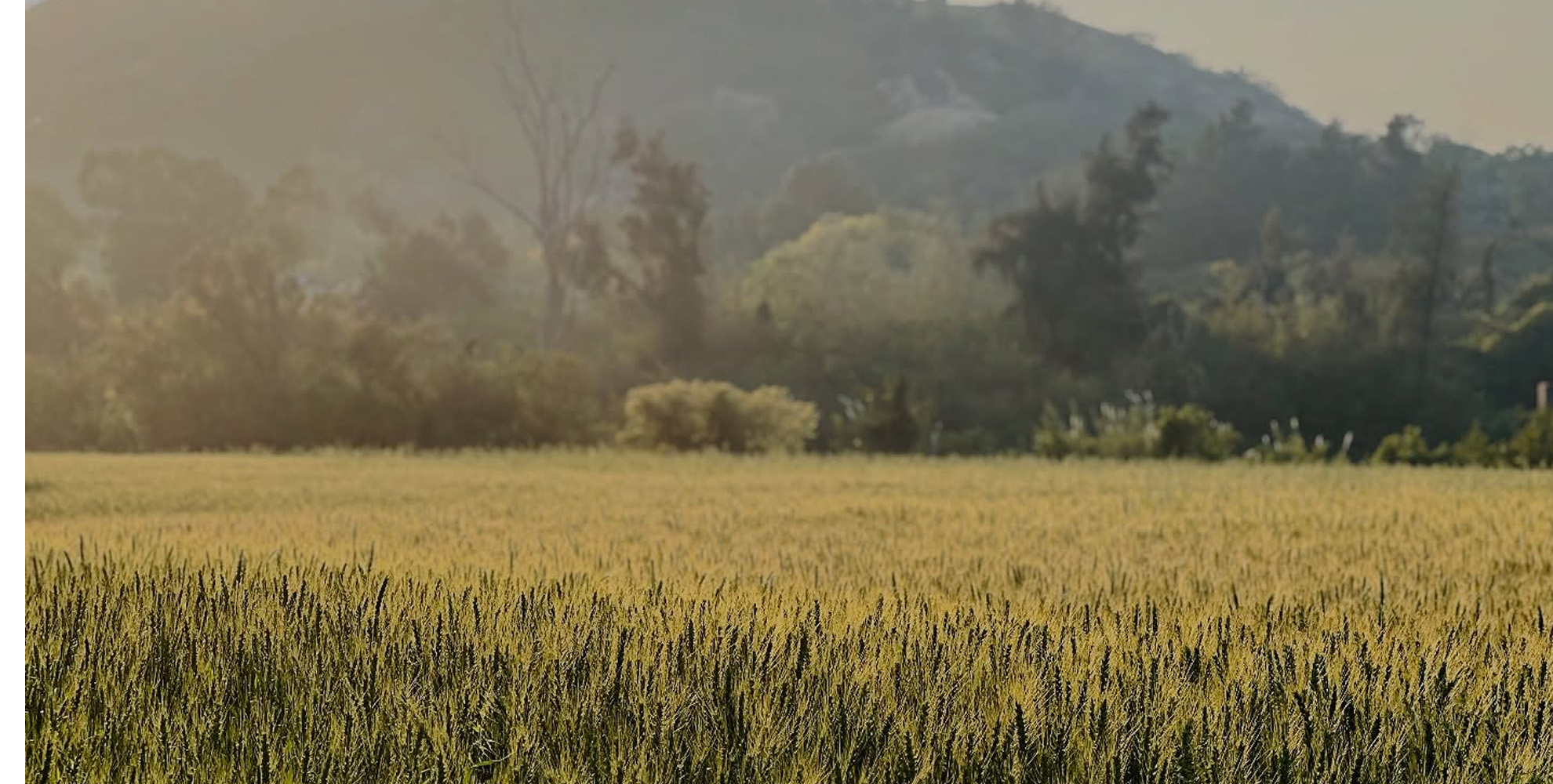 壹樓文旅 Banner 6